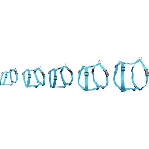Flamingo Dog Harness H-shape Ziggi Turquoise L 60-85cm 70-100cm 25mm, Blue, 60-85 cm - Image 3