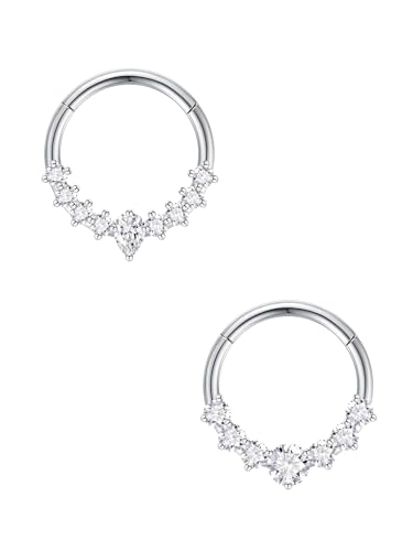 jagosen Septum Nose Rings Hoop 2pcs 16g 8mm 10mm Surgical Steel Helix Tragus Cartilage Earrings Septum Lip Ring Piercing Jewellery