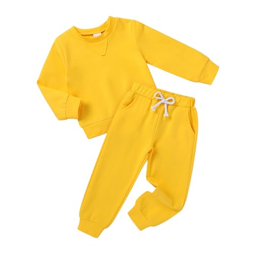 Toddler Baby Girl Boy Clothes Solid Color Sweatsuit Long Sleeve Fall Outfits 2Pcs Winter Pant Sets