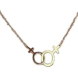 Double Venus Symbol Charm Female Lesbian LGBT Gay Lesbian Necklace Women Pendant Girlslove Les Stainless Steel Sister Jewelry