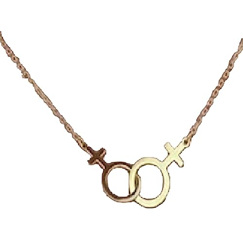 Double Venus Symbol Charm Female Lesbian LGBT Gay Lesbian Necklace Women Pendant Girlslove Les Stainless Steel Sister Jewelry