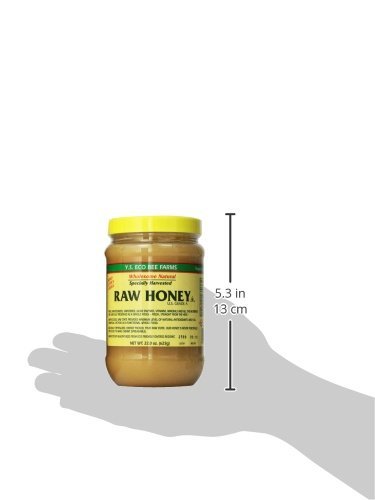 YS Eco Bee Farms RAW HONEY - Raw, Unfiltered, Unpasteurized - Value 2 Pack yVskwCc( 22 Ounce each)