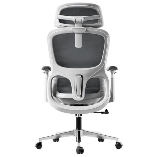 Hbada P2 Ergonomic Office Chair with 3D Lumbar Support Mesh Chairs with 3D 360 Rotation Arms 3D Headrest & Comfortable Seat 135 Stepless Tilt Function White