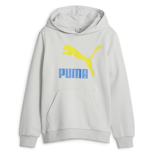 PUMA Kids Boys Classics Logo Hoodie Casual Outerwear Casual Hoodie - Grey - Size M