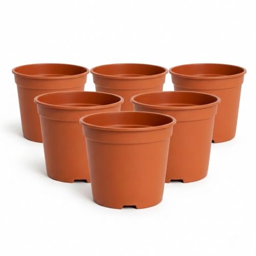 Image of 6 Inch Heavy Duty Plastic Planter | Grower Pot /Garden Pot for Home & Garden (Terracotta) (Pack of 6)