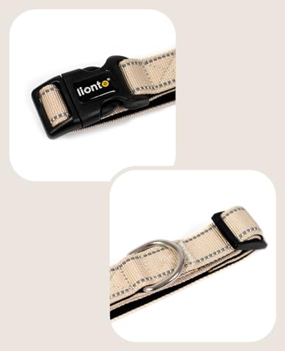 lionto Hundehalsband aus strapazierfähigem Nylon, Größe S, weiches gepolstertes Halsband für Hunde, 360° reflektierend & Klickverschluss, Metallring & Anpassung durch stufenlosen Schieber, beige