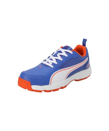 Image of Puma Men Cricket HighRun Cricket Shoe