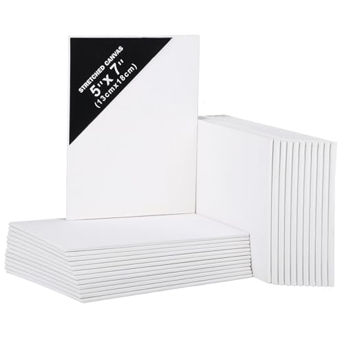 Belle Vous Pack de 24 Lienzos para Pintar en Blanco 13 x 18 cm – Set Panel de Lienzo Preestirado – Aptos para Pintura Acrílica y al Óleo   Lienzo Blanco para Bocetos y Dibujos