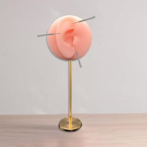 Modèle d'oreille silicone pour piercing et présentoir de boucle d'oreille