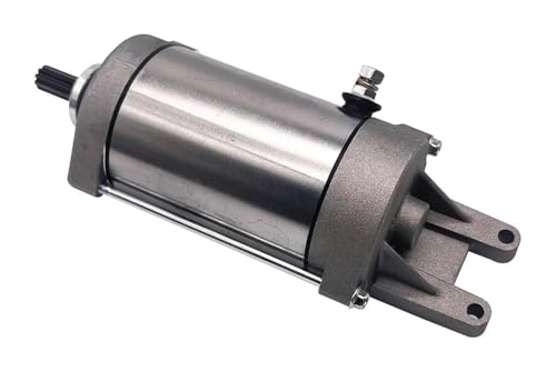 para Dinli para Masai para Hytrack 600cc 700cc 800cc para Stels 600 D/GT 700 D/GT 800 D/GT ATV ​​Quad E150006-00 LU014607 Conjunto Motor De Arranque Motocicleta De Arranque Encendido