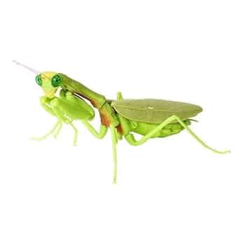 カマキリパパ【4年 理科上1-19、下1-18、社会上1-6、9-19】 カマキリパパ【4年 理科上1-19、下1-18、社会上1-6、9-