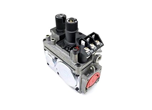 Amazon.com: Quadra-Fire SIT NG Valve (842-0240) : Home & Kitchen