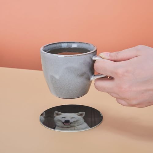 Blue Eyed White Dog Untersetzer-Set für Getränke, hitzebeständig, wasserdicht, mit elegantem Druck-Design, mit Aufbewahrungsbox (Zuhause, Büro, Bar-Zubehör), 6 Stück