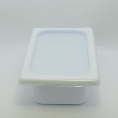 WF[gXWFeAUNŐƖpWF[g (, 2L) c