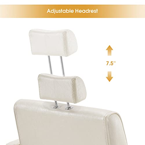 BarberPub Recliner Hydraulic Leathern Barber Chair Classic Antique Hair Spa Salon Styling Beauty Equipment 3124 (Champagne)