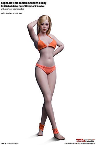 SUPER FLEXIBLE BODY フィギュア Super-Flexible Female Seamless body with Stainless Steel