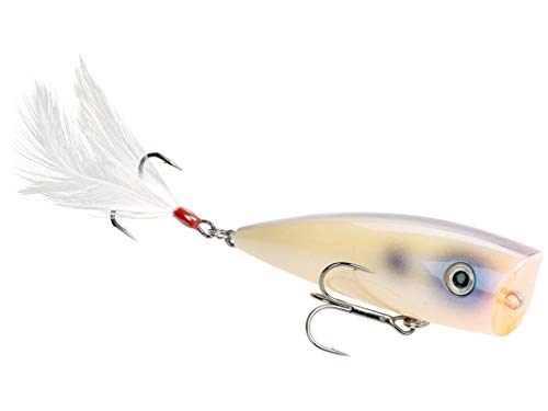 Strike King KVD Splash Jr Fishing Lure, Topwater Popper, Oyster