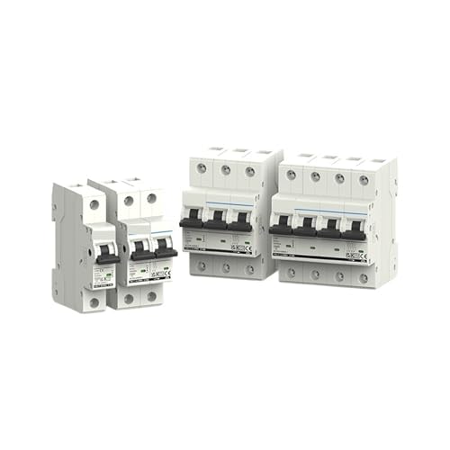 Disjoncteur protection court-circuit 2P AC 40A type C 230V