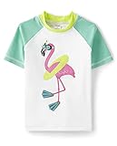 Gymboree Boys and Toddler Embroidered Short Sleeve Rashguard Rash Guard Shirt, Floaty Flamingo, 6 US