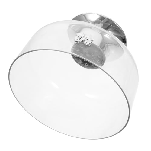 NAMOARLY Modern Home Decor Footed Fruit Bowl Large Trifle Bowl Acrylic Candy Dish for Kitchen Counter