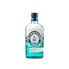 Discover and Savor Plymouth Botanical Dry Gin - Order Today! – Plymouth
