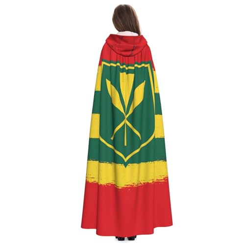 Cape à capuche imprimé drapeau hawaïen et robe de magicien fluide - 5