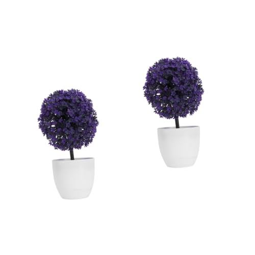 Cabilock 2pcs Small Plants for Decoration Outdoor Flower Pots Para De Mujer Interior Small Fake Plant Faux Succulents in Pots Bonsai Pot Artificial Plants Ball Flowerpot Small Ball