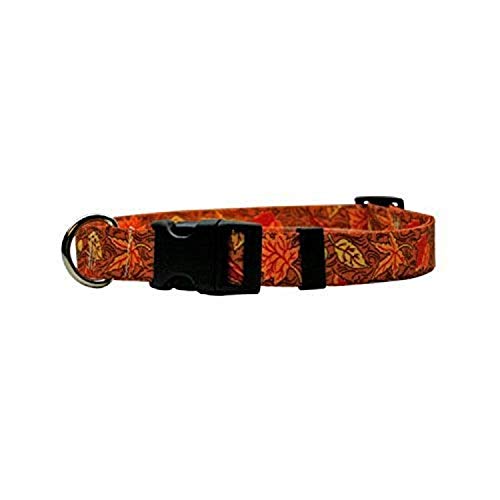 Image of Yellow Dog Design Fall Leaves Dog Collar 1 inch Wide and Fits Neck 18 to 28 inch, Large