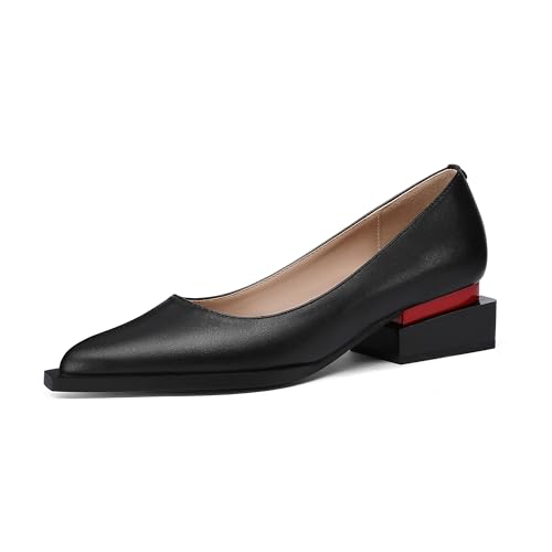 Image of LingxiaUne Dress Shoes for Women, Comfortable Dressy Flats, Womens Chunky Heel Pumps with Arch Support and Pointed Toe