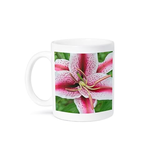 3dRose 11oz Coffee Mug Washington Bellevue Lily Flowers