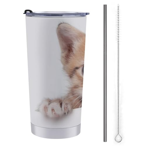  lR GL ԗpRbv ԗp^u[  ԃJbv }OJbv ۉۗ XeX _CNg^Cv R[q[Jbv J[pi RrjJbv t^t 600ml Ԓ