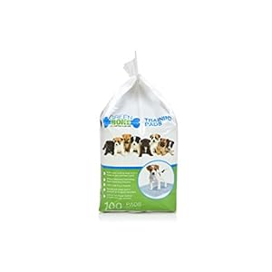 Puppies  Indoor Dogs Training Pads 100 Count  Cucciolini Doodles Puppies  indoor dogs training pads 100 count   cucciolini doodles