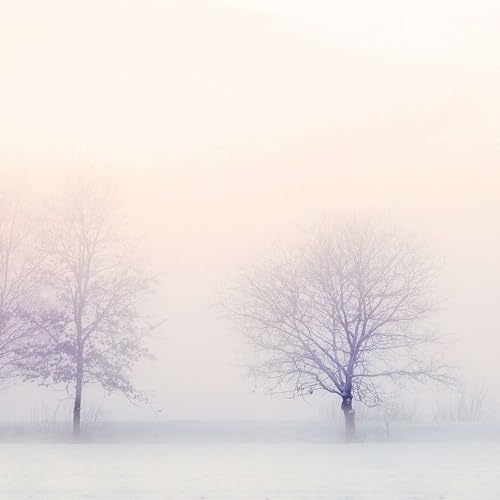 The Light of Blessings