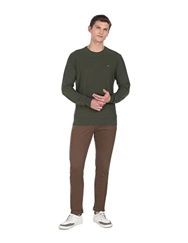 Image of Arrow Mens Cotton Round Neck Striped Regular Fit Sweater