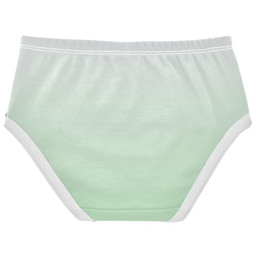 Joisal Cotton Toddlers Underwear Floral Magnolia Celadon Green Gradient Panties for Girl Print Briefs Underpants 2t2