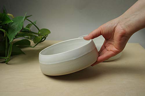 ceramic dog water dispenser