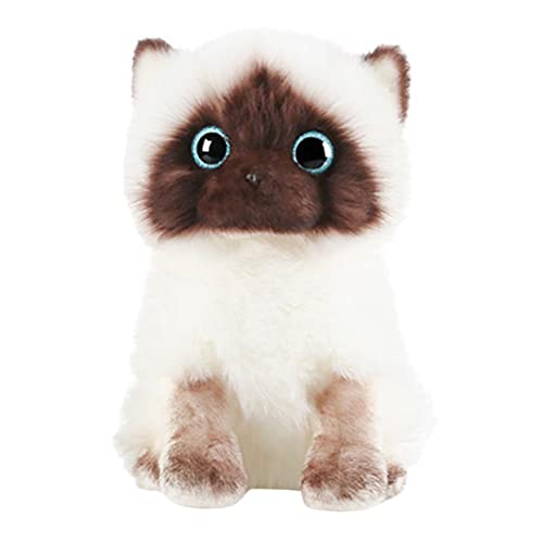 BESTonZON Brinquedo de peluche brinquedos de peluche gato de peluche Home Decor decoração casa brinquedos de menina decoração boneca decorativa gato siamês boneca gato siamês gato gato siamês o gato