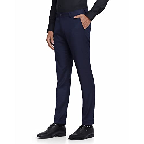 Image of blackberrys Stripes Polyester Viscose Slim Fit Mens Trousers (S22BB45A2IS22F1-P)