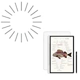 XPPen 3 in 1 Color Digital Notebook 10.95'' Paper Note Taking Tablet & XPPen Replacement Felt Nibs for X3 Pro Pencil Magic Note Pad