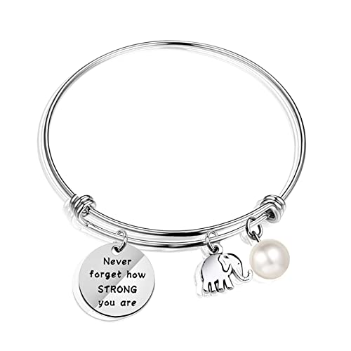 Caiyao Polished Stainless Steel Elephant Animal Guide Expandable Bangle Bracelet for Women Mother Engraved Inspirational Don't Forget Round Disk Disc Bracelet Birthday Jewelry Gift