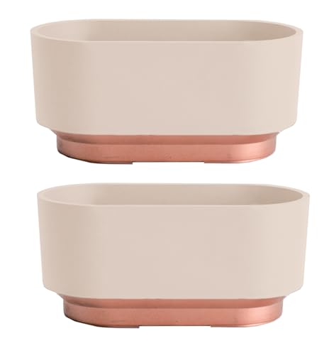 The HC Companies Succulent Pot Sorrento 5.5 Inch - Lightweight Indoor Plastic Succulent Planter with Drainage, Vanilla Bisque (Pack of 2)