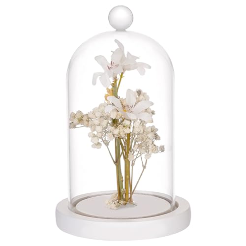 PH PandaHall Glass Dome with Base Cloche Cloche Bell Jar Display Dome Case Glass Decoration Bottles for Plants Flower Display Clay Succulents Storage Home Party Favor Decoration 3.5x7 inch