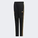 adidas Kinder Hose REAL TR PNT Y, Negro/Orfúos, 152, DX7845