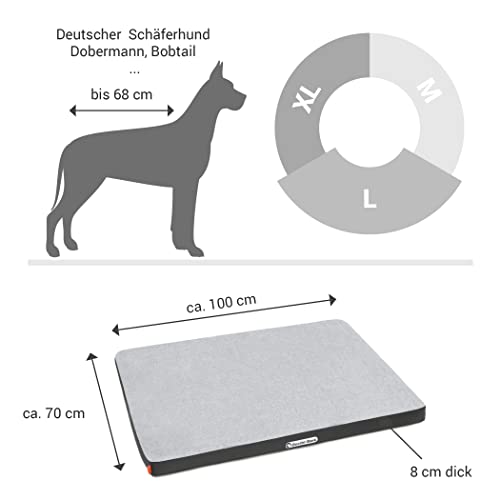 Doctor Bark | orthopädische Hundematratze mit kuscheliger Fleece-Liegefläche, waschbares Liegekissen für große Hunde (L - 100x70 cm, hellgrau - grau)