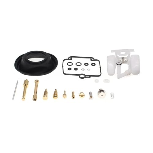 Kit de carburateur de moto pour rénovation hivernale GS500E et F650