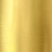 Faber-Castell Polychromos Artist Colored Pencil, 250 Gold