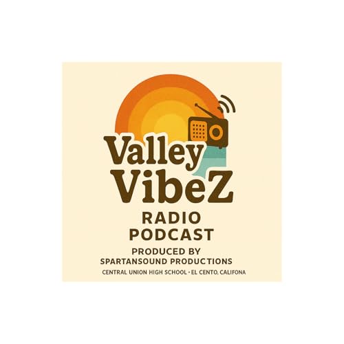 Page de couverture de Valley VibeZ