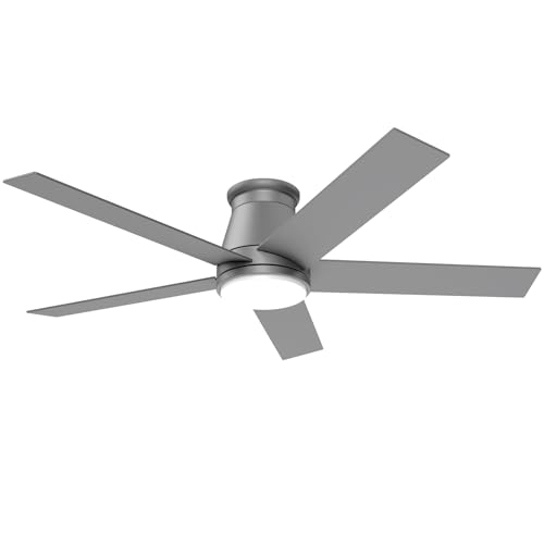 Wurzee - Ventilador de techo de 52 pulgadas, color plateado mate con luz, motores CC reversibles, regulable, temporizador, silencioso, ventilador de techo para casas de campo interiores y exteriores,