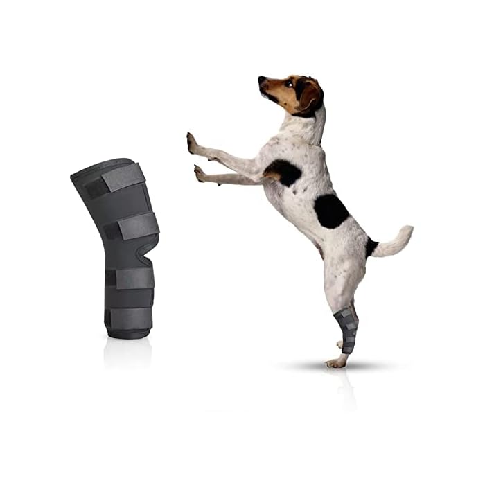 Buy Dog Knee Brace Adjustable Rear Hock Brace Dog Bandage Wrap for