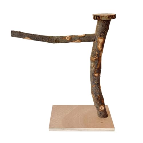 ZLZCCRP[WX^hXCOIEaJbvWዴo肨CRIJCRg[jO~܂؃X^h